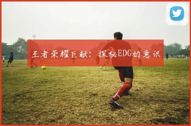 王者荣耀巨献：探秘EDG的意识