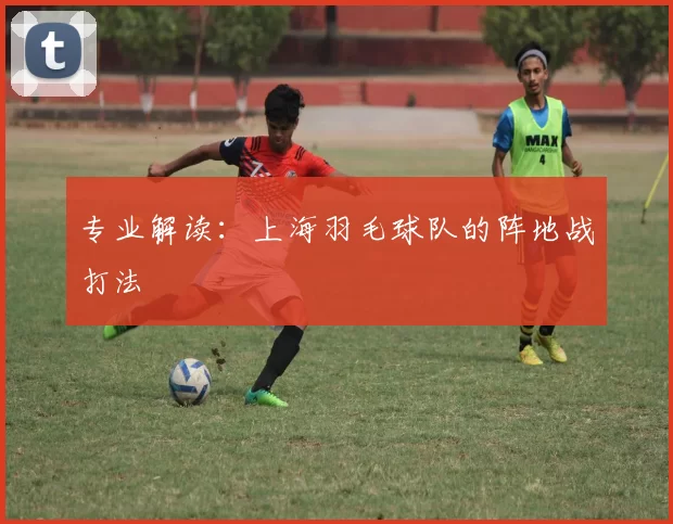 专业解读：上海羽毛球队的阵地战打法